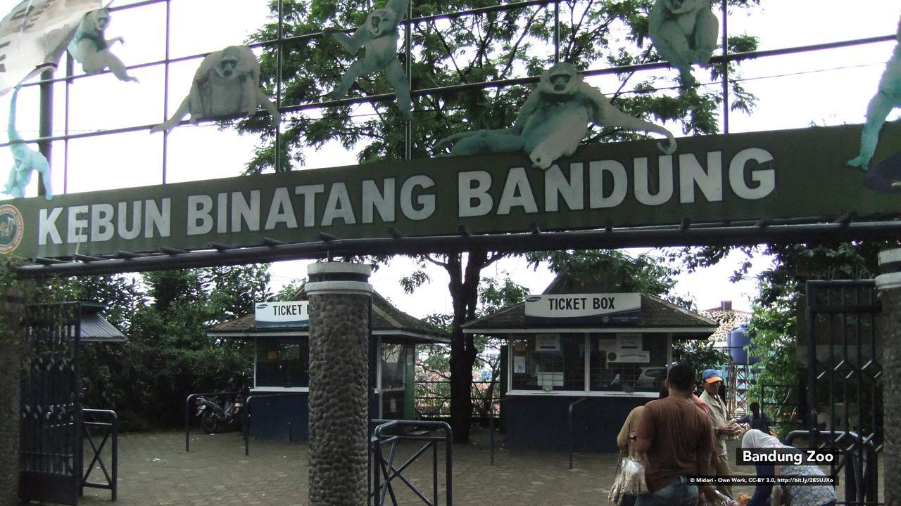 Zen Rooms Bukit Tunggul باندونج المظهر الخارجي الصورة